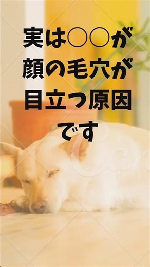 実は○○が顔の毛穴が目立つ原因です