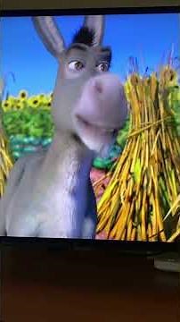 Shrek Im On My Way En Netflix