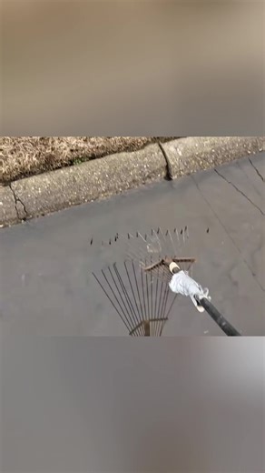 Effective Techniques for Unclogging Drains Easily