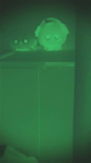 22 de março de 2026