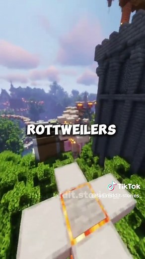 Sus Reddit Stories on TikTok