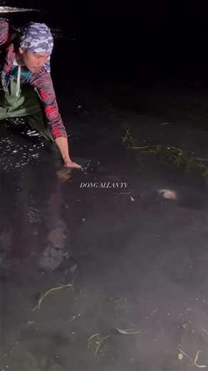 Amazing Night Fishing in Clear River | Traditional Spear Fishing Catch Big Fish #shortselling