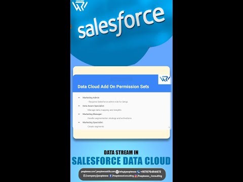 Data Stream in Salesforce Data.mp4