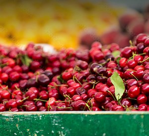 Cherries at Hazel Technologies