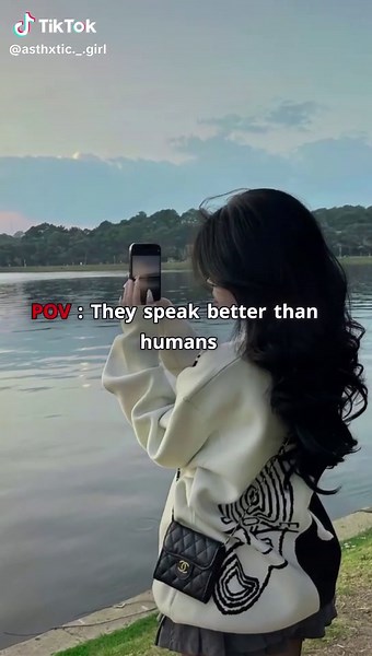 Understanding Aesthetic Communication Styles