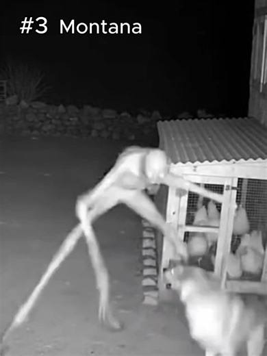 Five different rural security cameras captured these strange encounters over the past few months. The sightings were reported in Texas, Arizona, Montana, Utah, and New Mexico, often late at night when animals started reacting to something no one else could see. Some people believe these cameras recorded a skinwalker. Others say it’s just shadows and imagination. Watch closely and decide for yourself. #skinwalker #caughtoncamera#securitycamera#paranormal#top5