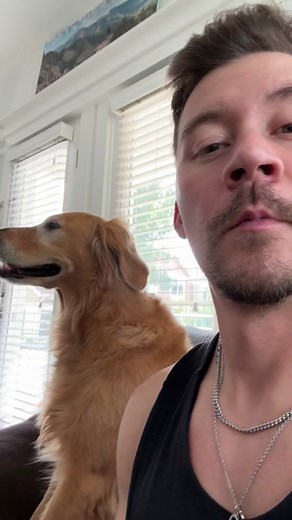 Theres never been a better song to do a side eye/nala stomp mashup to