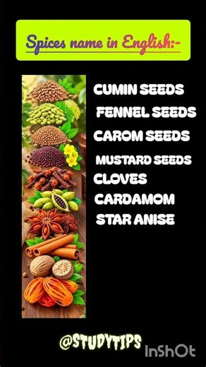 🌿 Common Spices Names in English | Learn English Vocabulary Easily! 🌶️ ‪@studytips-p9n‬