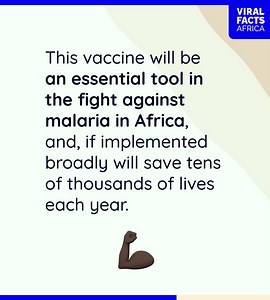 158K views · 9.5K reactions | The #MalariaVaccine has been in development for more than 30 years. Here’s why it has taken so long to come into fruition.  Viral Facts Africa #ViralFactsAfrica #WorldMalariaDay | World Health Organization African Region | Facebook