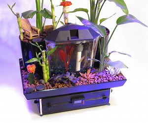 The Betta Garden - 5 Gallon Aquaponics System