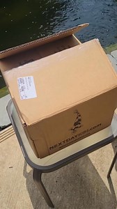 First class shipping for koi? From box to pond in one day. Watch the magic ✨🐠 | NextDayKoi