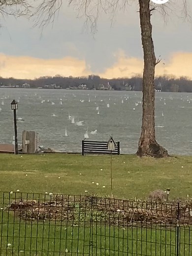 Severe weather swept across parts of Minnesota on Monday, April 13, bringing potential tornadoes, heavy rain, and, as this wild footage from Madison Lake shows, some impressively big hail. The National Weather Service said the stormy weather “quickly ramped up”. Madison Lake resident Terri Rob didn’t miss the chance to record the impact the heavy hail made on the waters of Lake Washington, near his home. He said the storm was producing “baseball-sized hail”.