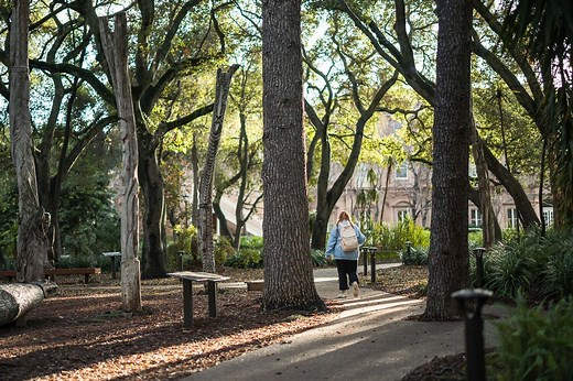 Secrets of the Papua New Guinea Sculpture Garden