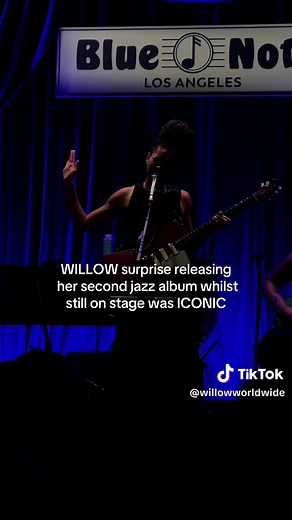 Willow Smith's Unforgettable Concert Performance