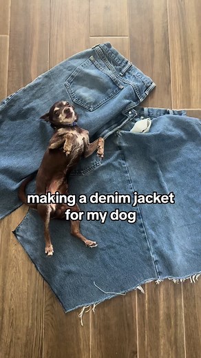 making a denim jacket for my dog #fashion #dog | denim jacket
