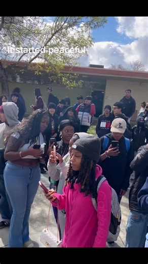 I am one of two organizers of the Indian Springs High school protest. It was never meant to be a riot but that is what staff influenced. Our message is and will always promote peace