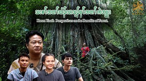 4.1K views · 131 reactions | In commemoration of Kawthoolei Tree Planting Month, the month of July, Karen youths tell their points of view on the benefits of forests, ways to heal forests and keep it healthy. | Karen Environmental and Social Action Network (KESAN) | Facebook