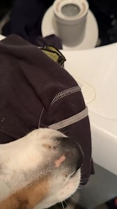 Hopefully Cora Cook Since Me And Verne Doing The Laundry 😂 #FixItJeezuh | Darryl’s World