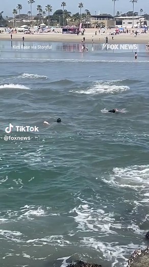 RIP CURRENT RESCUE: A California swim coach is being hailed a hero after diving into dangerous waters to save a father and daughter caught in powerful rip currents. The pair were struggling to stay afloat before the coach dove into the water without hesitation and brought them to shore, where other bystanders waited to lend a hand.