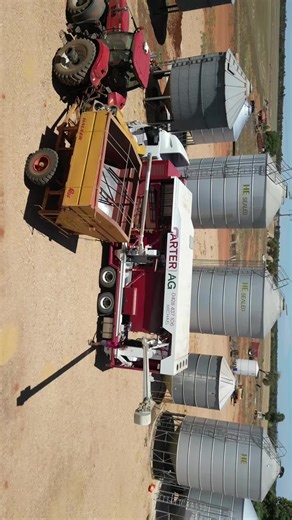 Seed Grading Techniques for Modern Farming