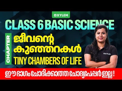 Class 6 Basic Science | Tiny Chambers of Life | Most Important Chapter | Xylem Class 6