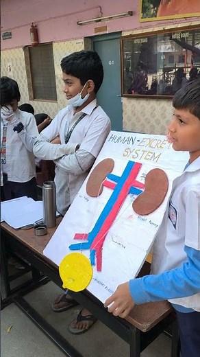 Amazing Science Fair Projects 🚀 | Science Day