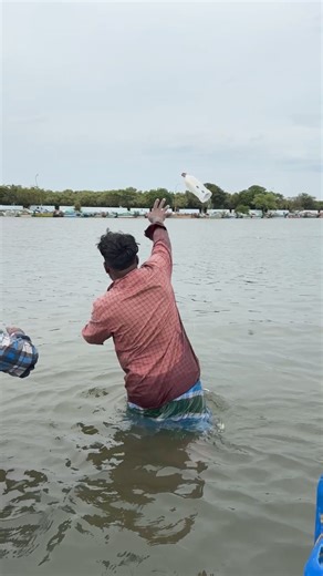 167K views · 1.4K reactions | Back-to-back mullet catches make this fishing day truly exciting! #fishing #mulletfishing | Snakehead Angler Amar | Facebook