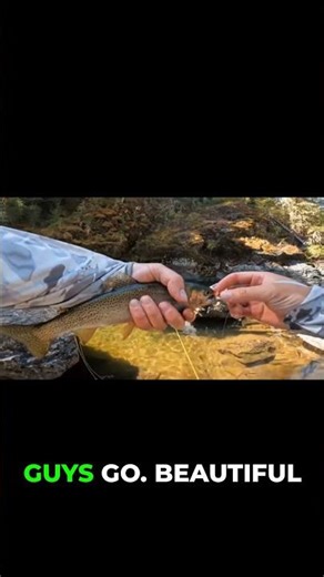 Fishing Success with a Hopper Fly