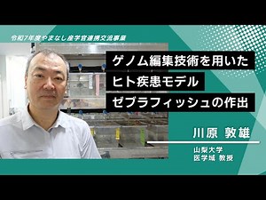 【山梨大学 研究紹介】ゲノム編集技術を用いたヒト疾患モデル・ゼブラフィッシュの作出