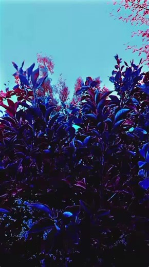 today di Khan weather#✌️✌️❤️❤️👍👍👍❤️❤️❤️❤️ #foryoupageofficiall #manzoor_pashteen #tiktokviral @WORLD NATURE VIDEOS 🏡🌳 @NAZIR MARGUN