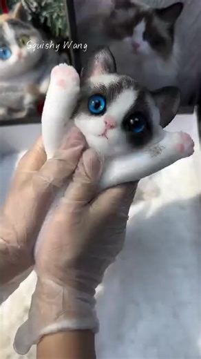 My cat's morning scream routine is a ritual. #CatYowl #Morning #Vocal