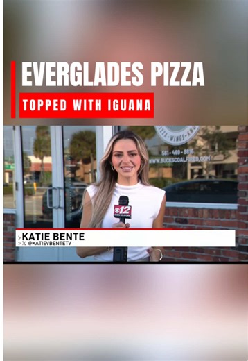 ONLY IN FLORIDA 🦎🍕 After a rare cold snap in South Florida, invasive iguanas froze up and fell from trees — and one viral idea turned them into pizza. A local content creator and iguana catcher teamed up with a local pizzeria for a one-time demonstration, not a menu item. I met up with him to try it for myself. #onlyinflorida #floridanews #viralnews #southflorida #iguana