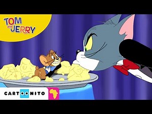 Tom and Jerry | Cheese Time Compilation | Cartoonito Africa