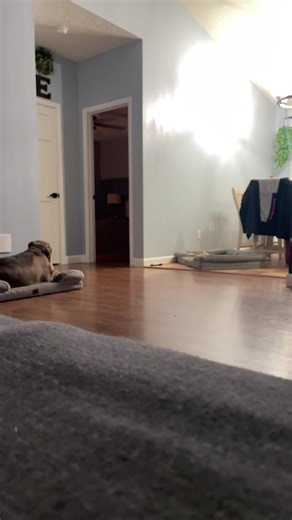 That_fnaf_guy (@that_fnaf_securityguard)’s videos with original sound - That_fnaf_guy