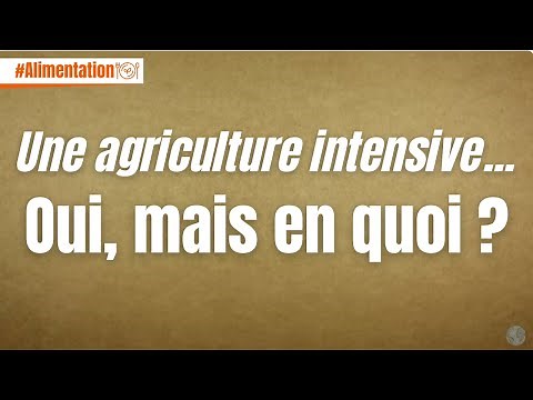 Pourquoi est-ce que l'on parle d'agriculture "intensive" ?