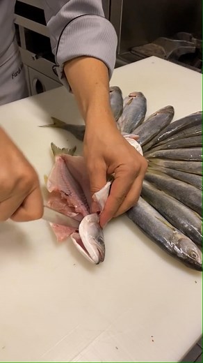 Faruk GEZEN on Instagram: "grilled bluefish 🐟👌 sıfır kılçık sarıkanat ızgara 🐟😇 #farukchef #farukgezen"