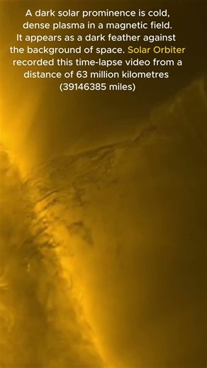 The Sun’s Dark Plasma