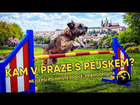 Kam v Praze s pejskem? Nejlepší psí hřiště