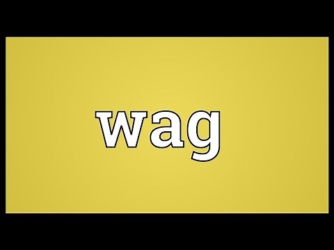 Wag Meaning