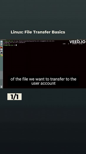 Linux: File Transfer Basics #linux #ftp #ssh #tutorial #tech #techtok #sysad #sysadmin #comsci #devops #devopsengineer #software #softwareengineer
