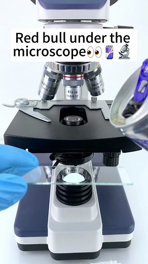 Magnifying the Fascinating World of Red Bull