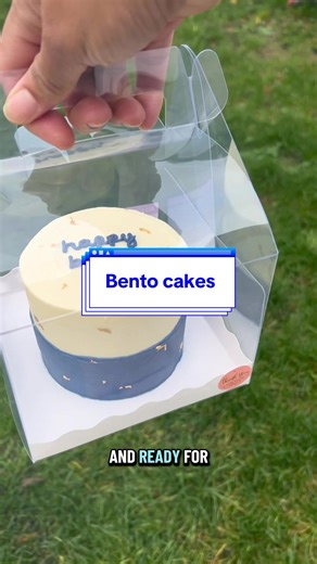 Creating Bento Cakes with Free Reign: My Struggles