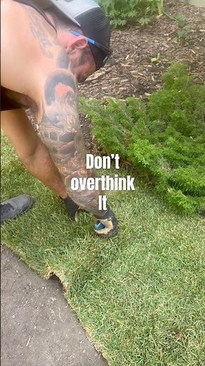 Instant Lawn Curve #landscaping