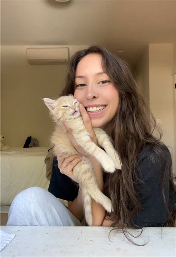 Understanding Tortoiseshell and Calico Cat Genetics