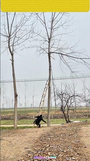 Comment une chute inattendue illumine les dangers invisibles du jardinage