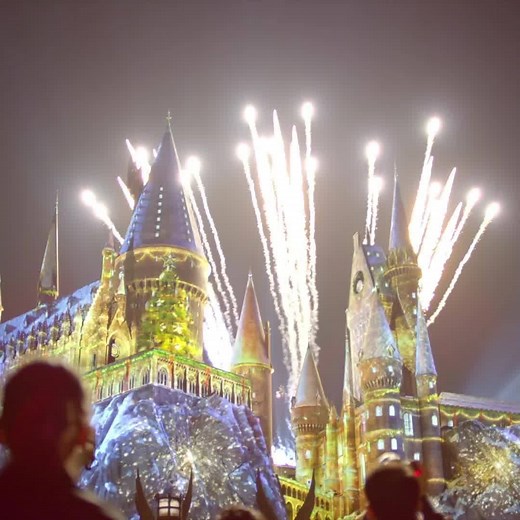 904 reactions · 335 shares | From November 16 to January 5, experience Christmas in The Wizarding World of Harry Potter™ as Hogsmeade™ and Diagon Alley™ are transformed with wondrous holiday spirit! | Universal Orlando Resort | Facebook