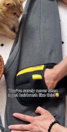 Tired of messy fur let it be swept away with our new handheld fur scrubby#asmr #cute #doghacks #fypシ