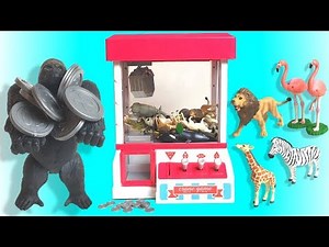 Cute animals Toys Game in the Claw Machine animals Names