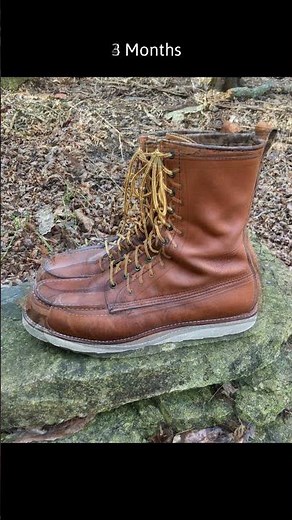 Red Wing 8-Inch Classic Moc 10877 in S.B. Foot Oro-Iginal