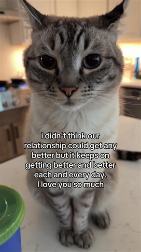 BenjiButton (@benji_button3)’s videos with float - Thiago Sub